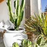 Ocean House Ericeira - Next To Ribeira D'Ilhas Surf Beach Hostel Ericeira