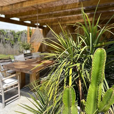 Ocean House - Next To Ribeira D'ilhas Surf *