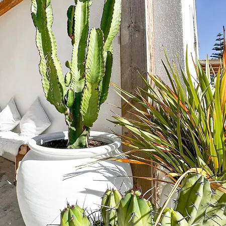 Ocean House - Next To Ribeira D'ilhas Surf Hostel Ericeira